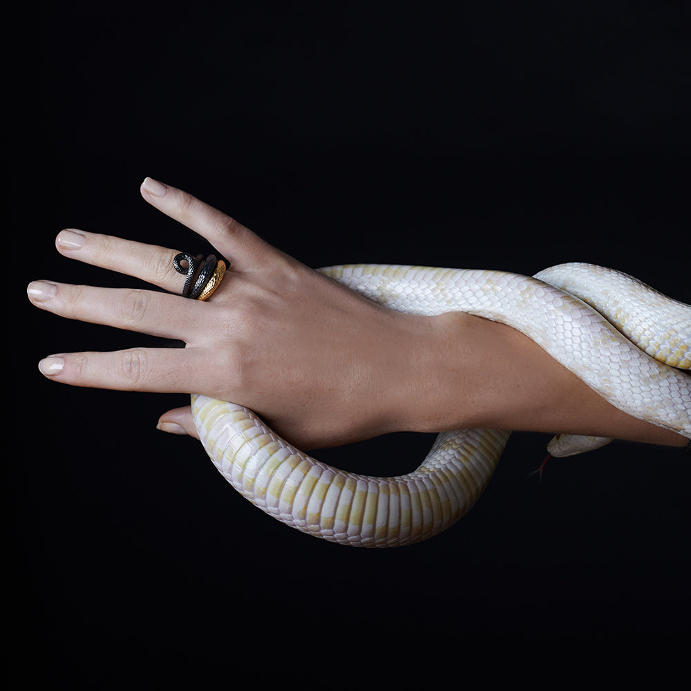 Twisted Tales Ring in Black