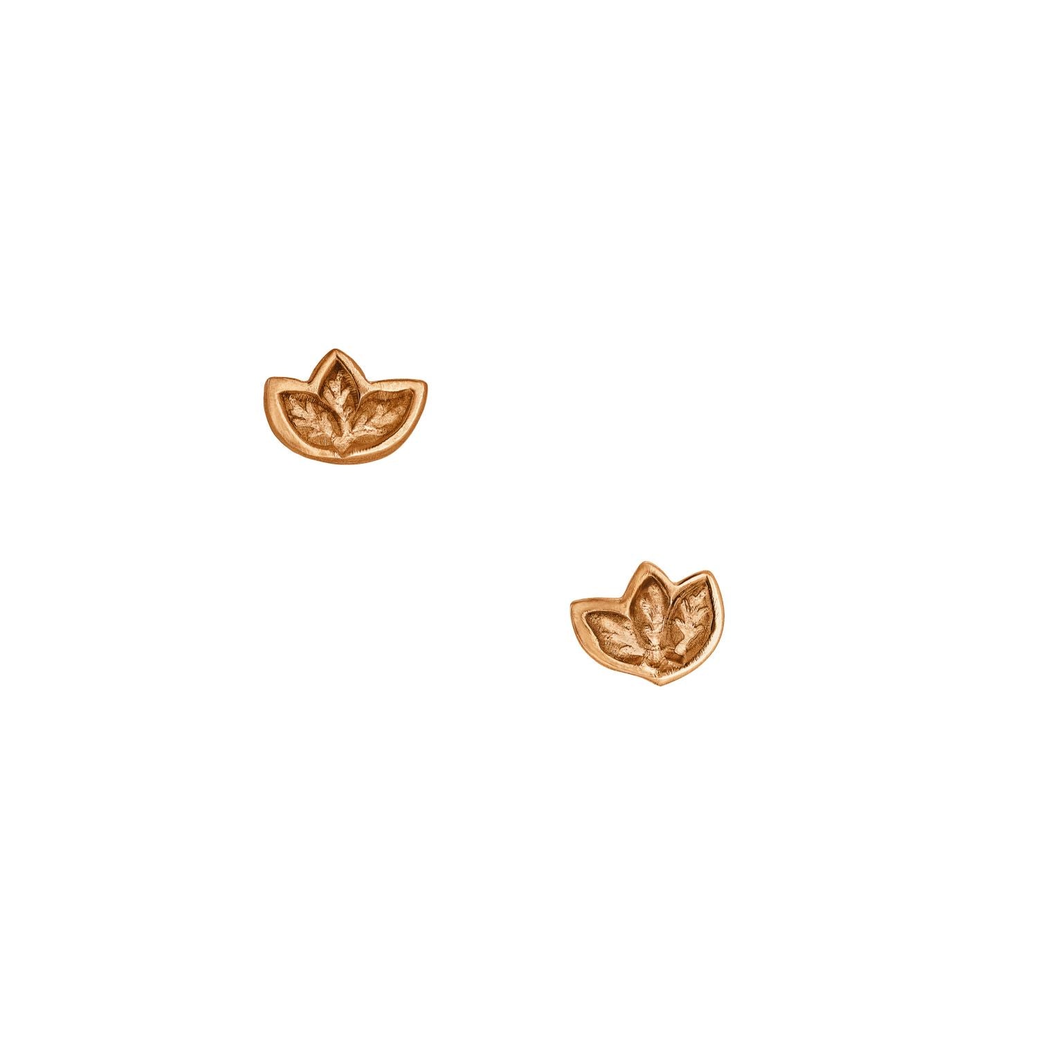 Rose Gold Leaf Stud Earrings