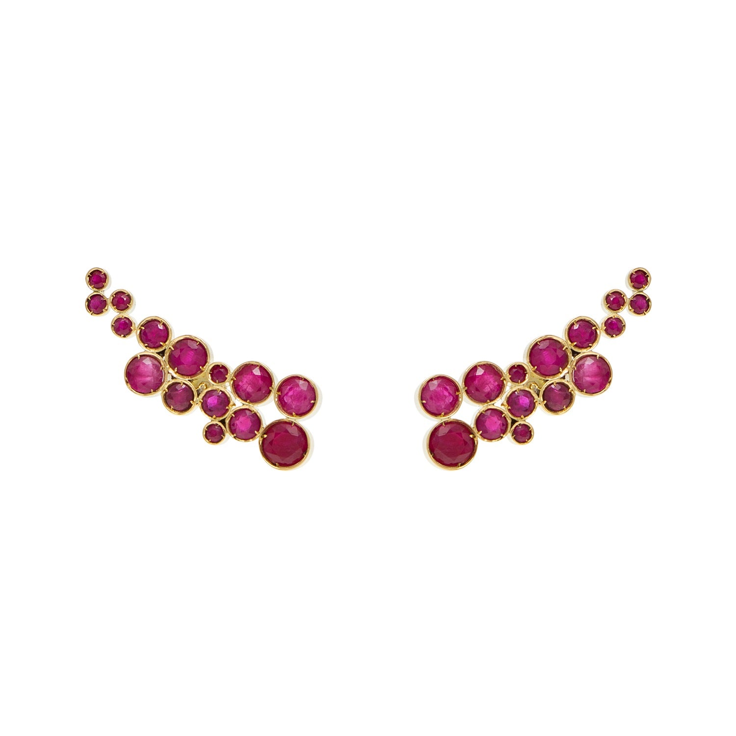 Van Gogh's Salvias Earrings