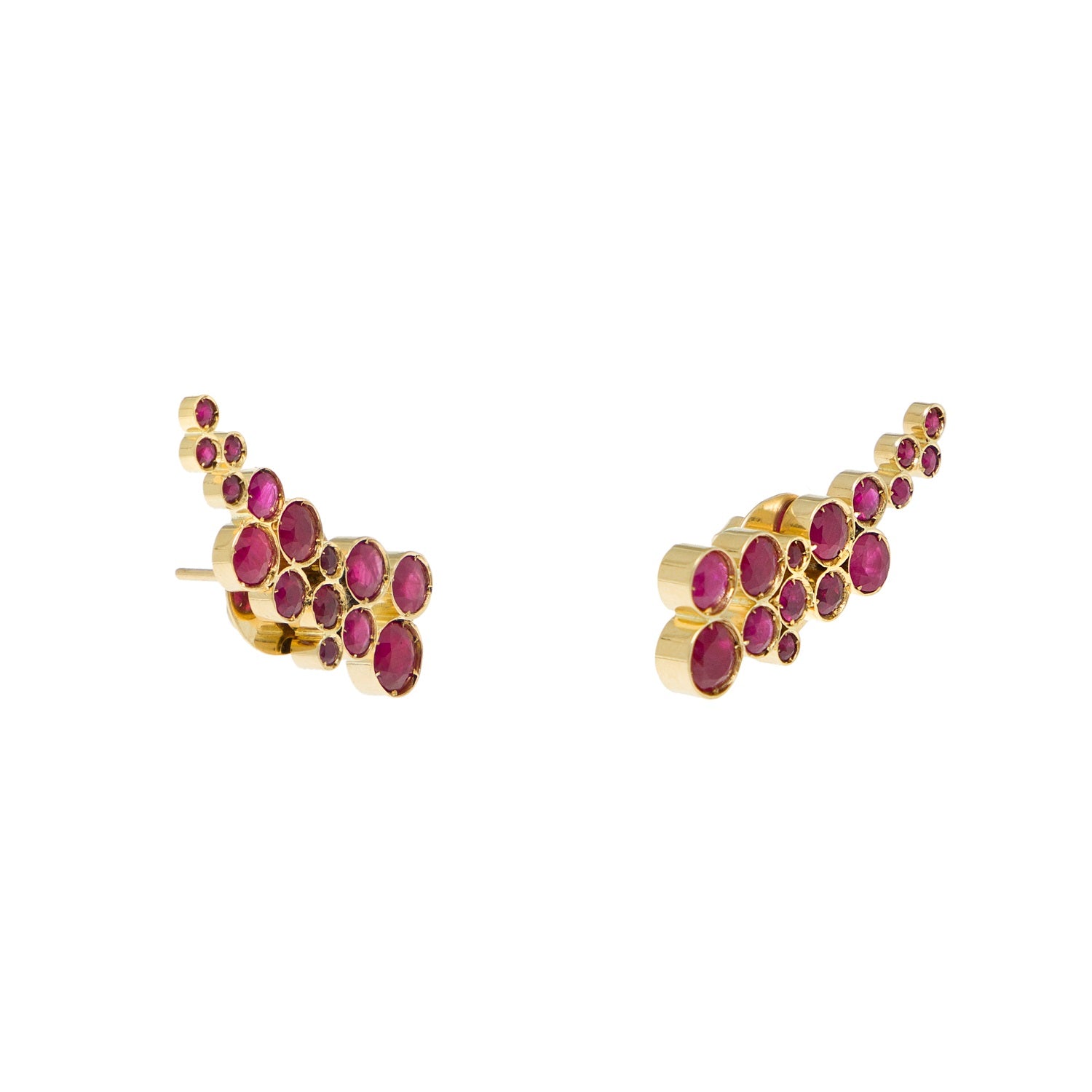 Van Gogh's Salvias Earrings