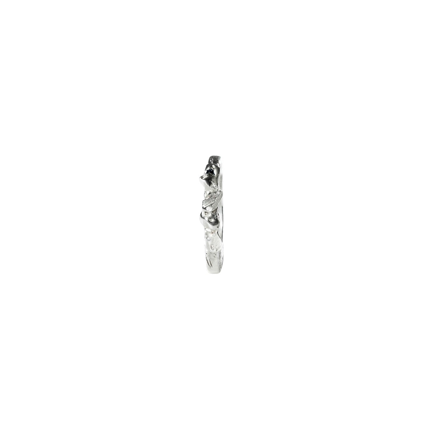 Frazil Ring