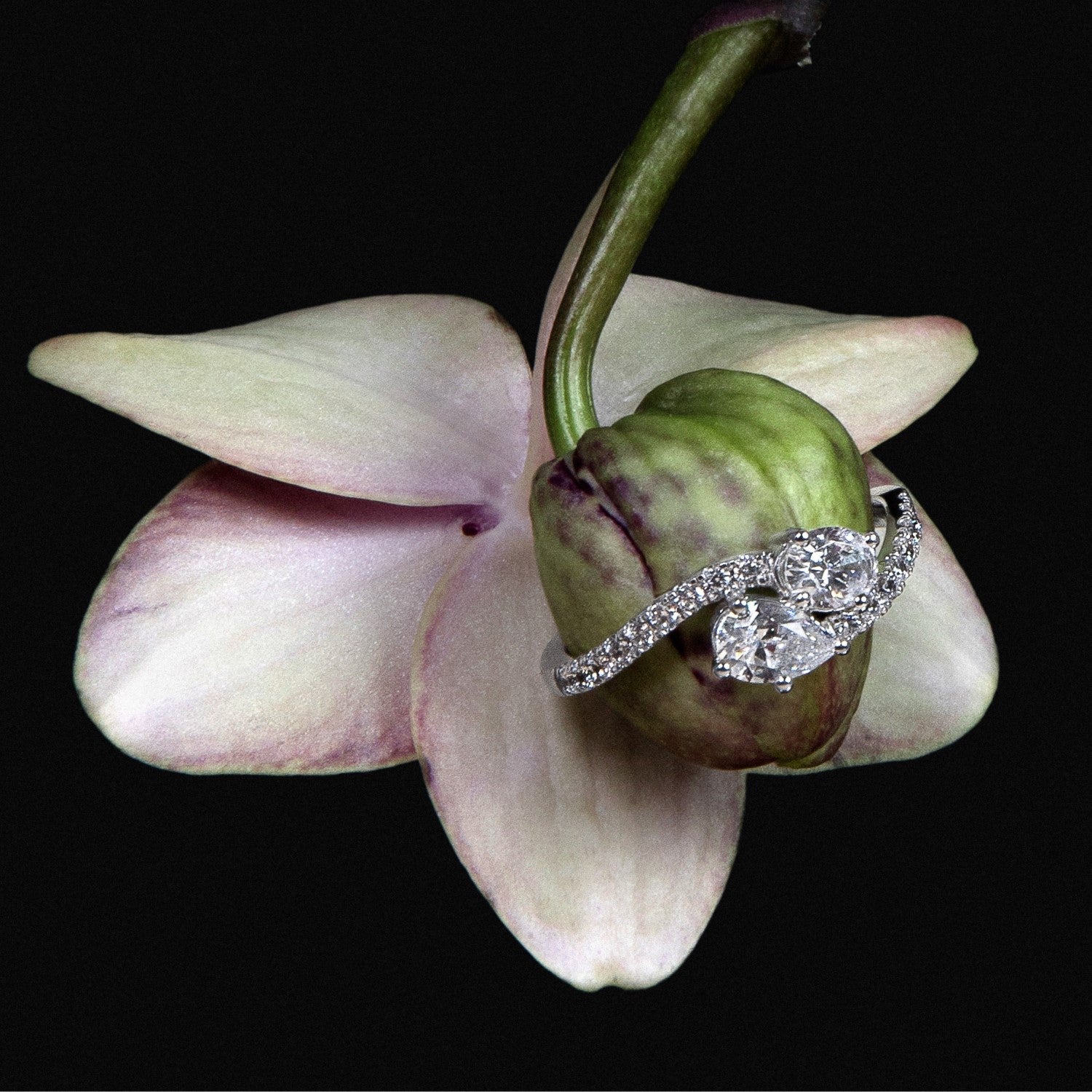 Forever Toi et Moi Ring