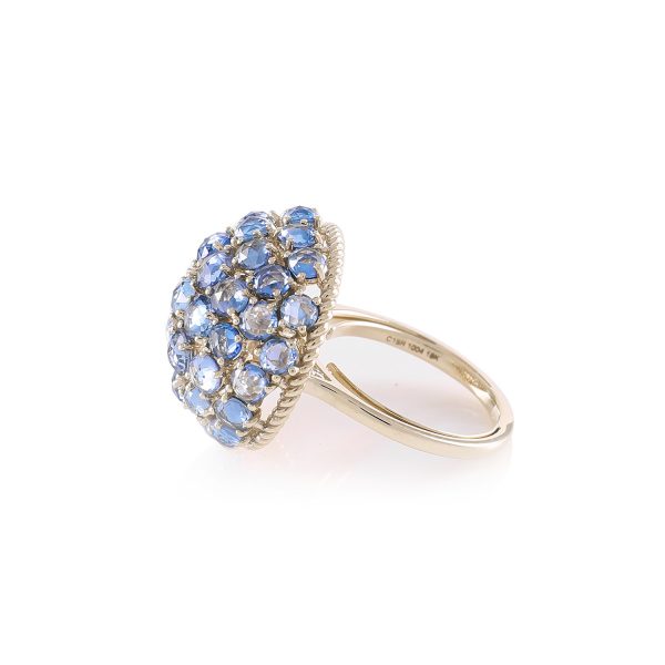 Ring Zero 1 – Sapphires by IVAR by Ritika Ravi