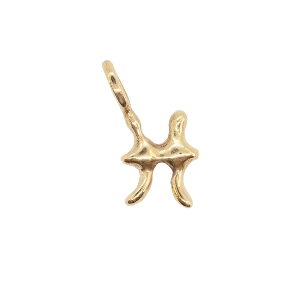 Star Sign Charm Pisces by Susannah King
